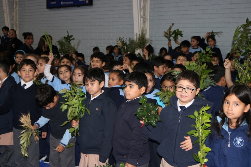 Celebración de Ramos